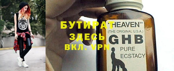 сатива Надым