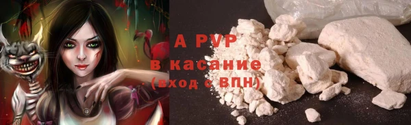 сатива Надым