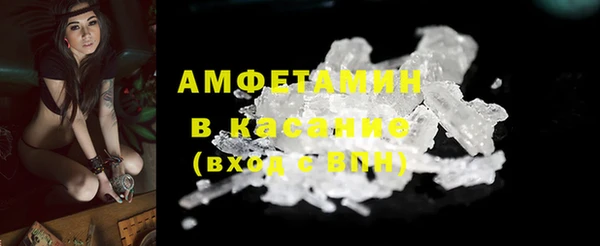 сатива Надым
