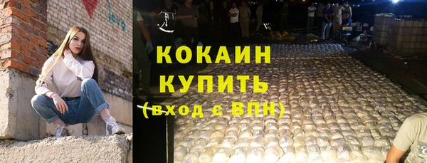 apvp Михайлов