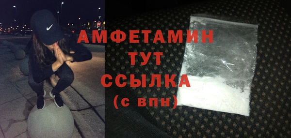 сатива Надым